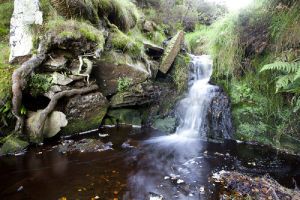 bronte falls 3 sm.jpg